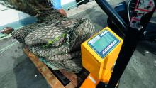Reti da pesca strappate al mare e pesate
