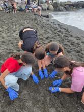 Un gruppo di ragazze intente a raccogliere mozziconi sulla spiaggia