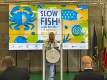 slow fish