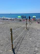 spiaggia per cani 