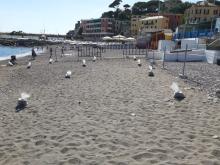 spiaggia comunale 