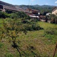 Uno spazio naturale privato lungo via Inferiore Budulli