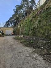 Una porzione della scarpata di via Terpi dopo un taglio della vegetazione (foto di repertorio)