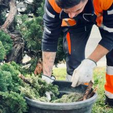 Giardinieri al lavoro nei Giardini Vittime dei Lager Nazisti, a Principe