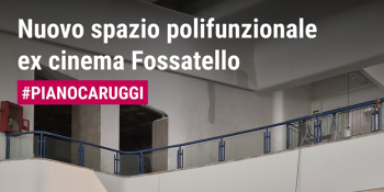 Banner_caruggi1